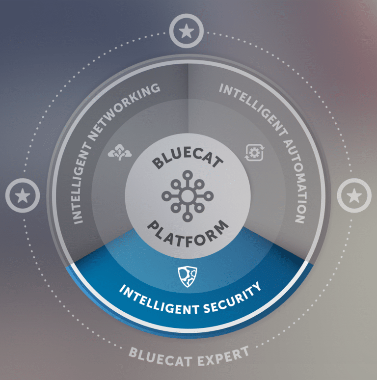 BlueCat Network Security