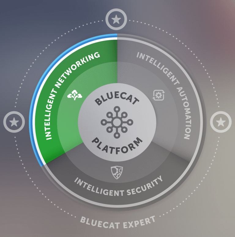 BlueCat Networking